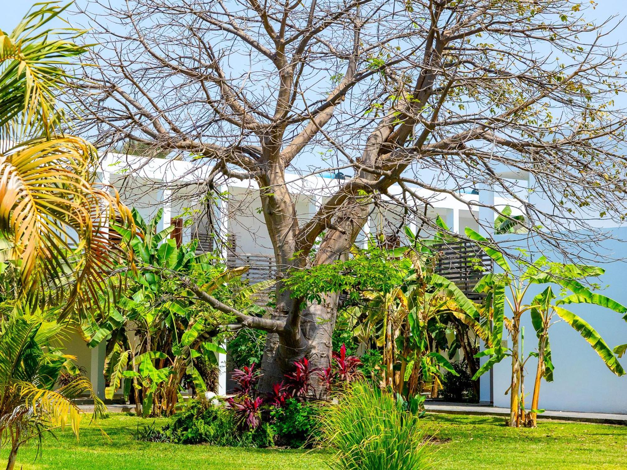 Sunprime Tamala Beach Kotu Exterior foto